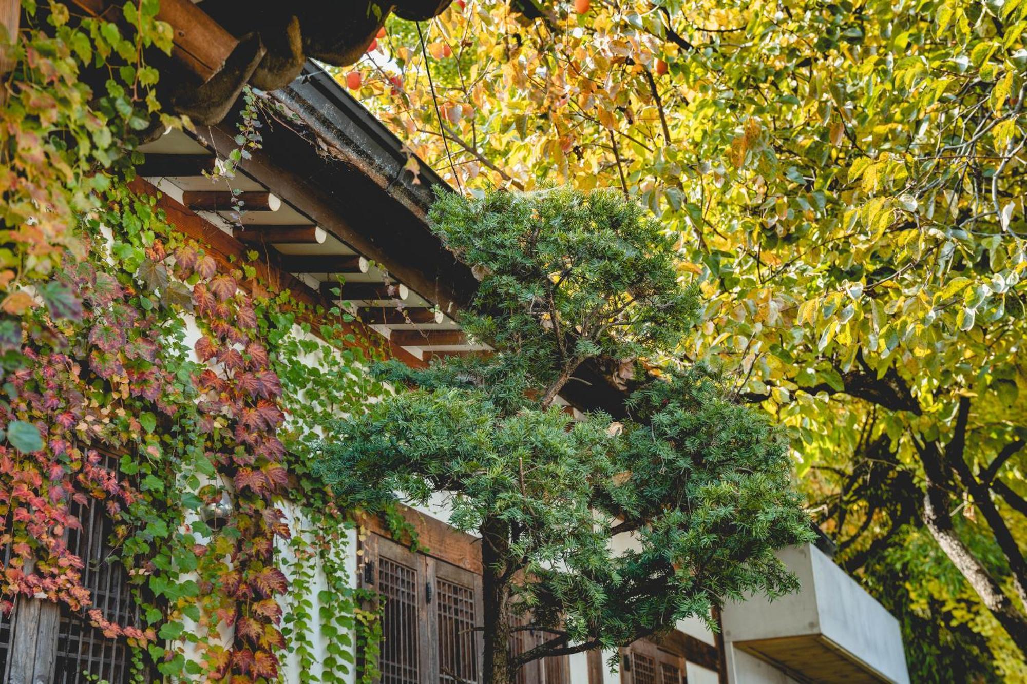 Hotelarrive Jeonju Sihwayeonpung Exterior photo